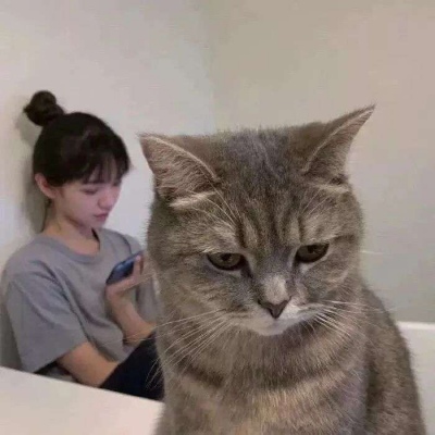 老韓詹姆斯或許她是劉美茹