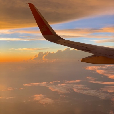 超級(jí)豬狗大戰(zhàn)